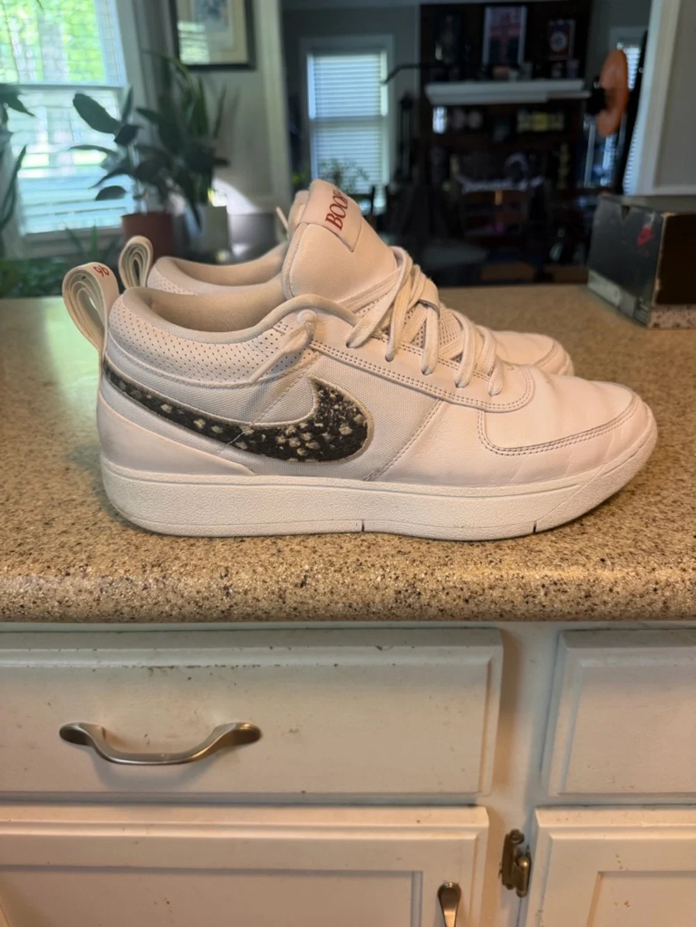 Book Chapter 1 “Rattlesnake” - Picture 4 of 6